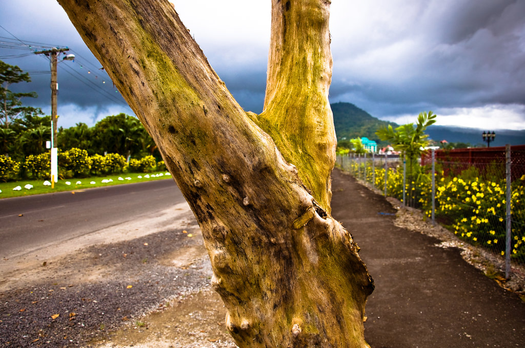 Apia  |  Samoa  |  2009